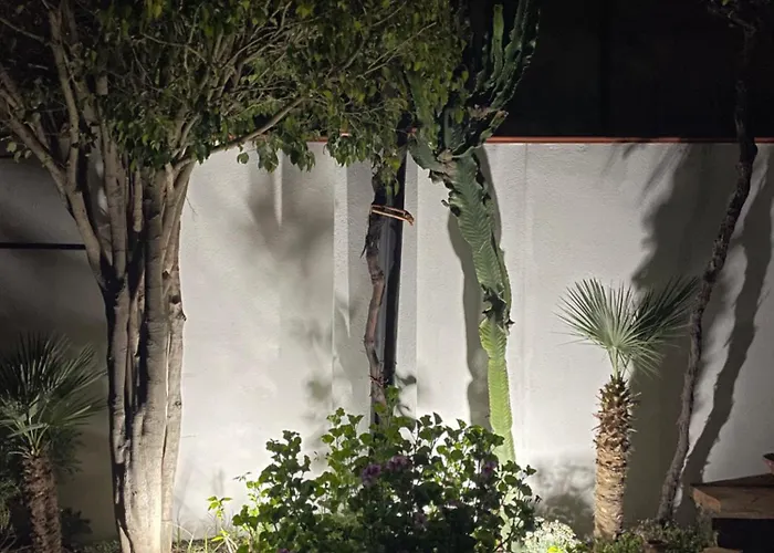 Green House